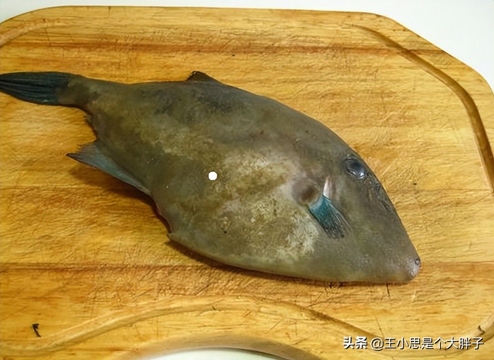 六种野生鱼不能人工养殖,市场上这6种鱼放心购买
