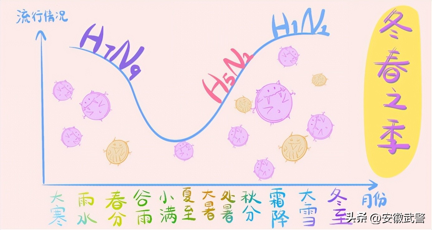 甲流和诺如病毒的区别,甲流和诺如可以吃布洛芬吗