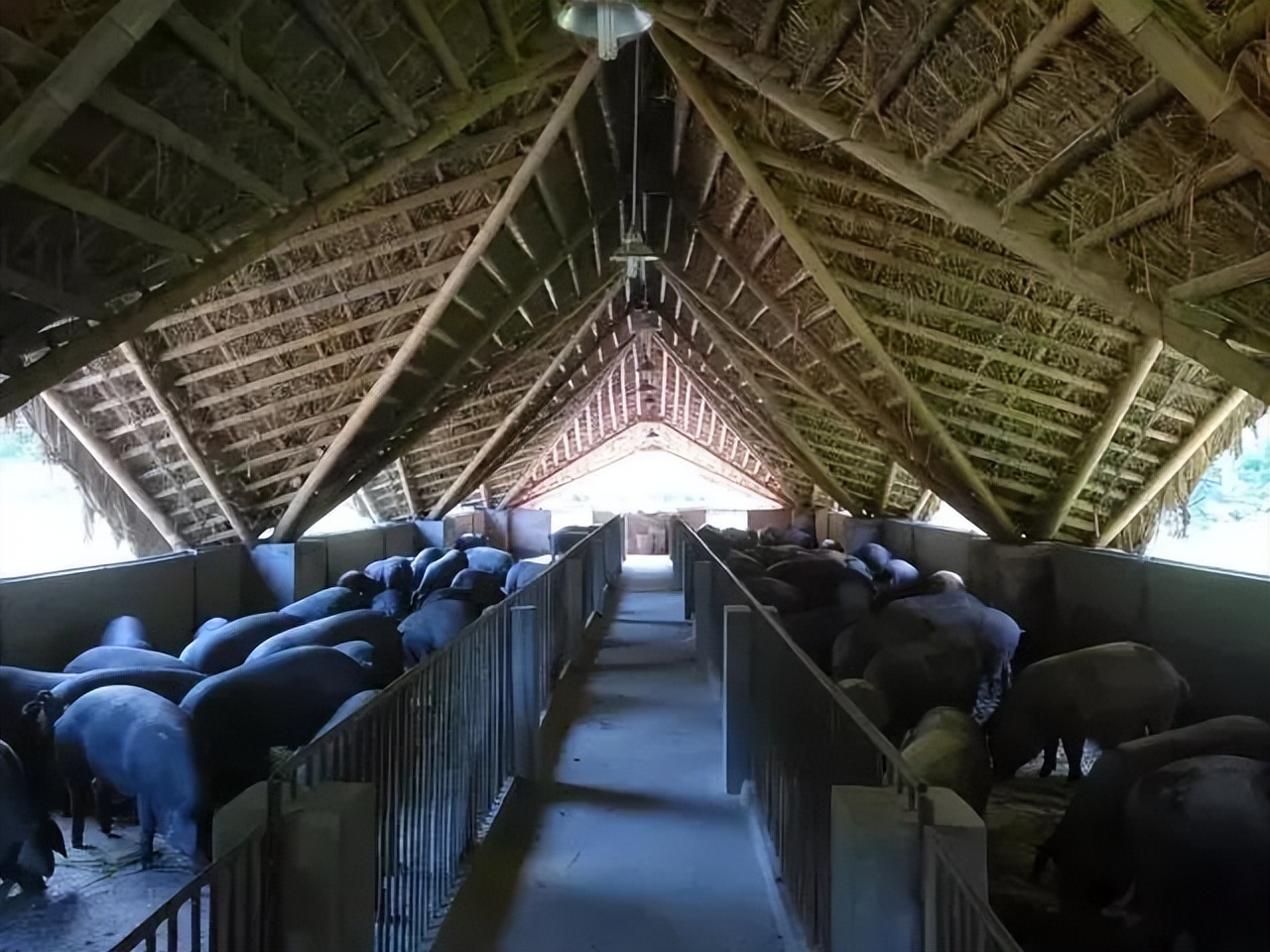 中国乡村改造项目,国内最成功的乡村改造案例