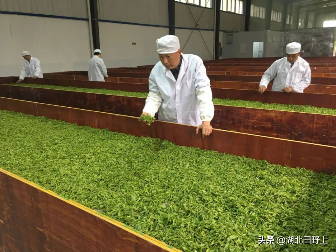 陆羽茶产业,陆羽文化茶产业