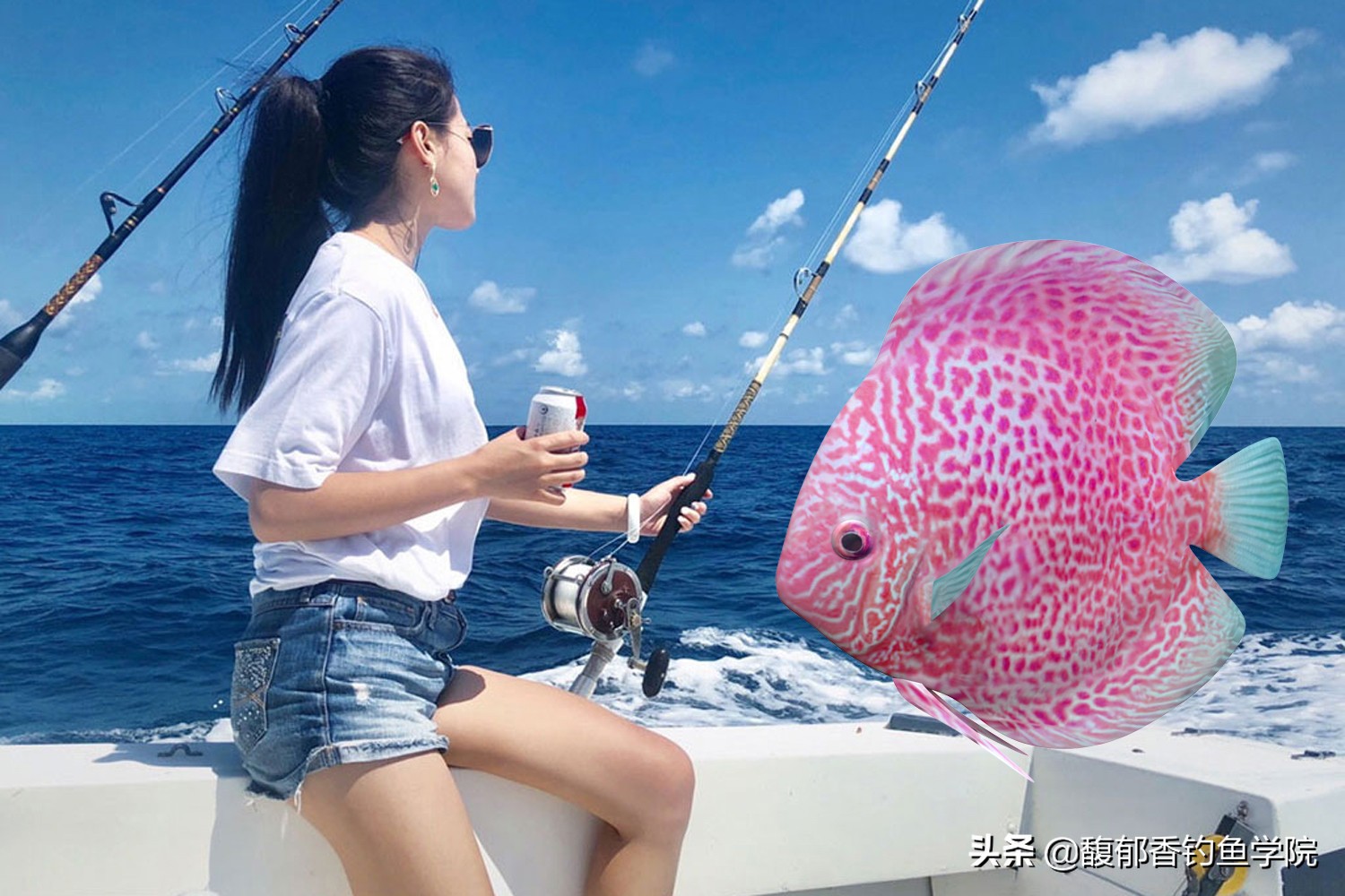 海钓效果最好的鱼饵沙蚕,青沙蚕和红沙蚕哪个海钓效果好