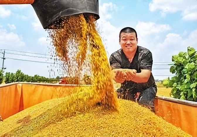 乡村振兴收入变化情况调研,去农村调研农民收入有哪些难点