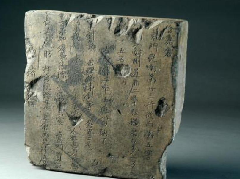 71年洛阳发掘含嘉仓，意外发现储存千年的谷粒，竟然还能发芽