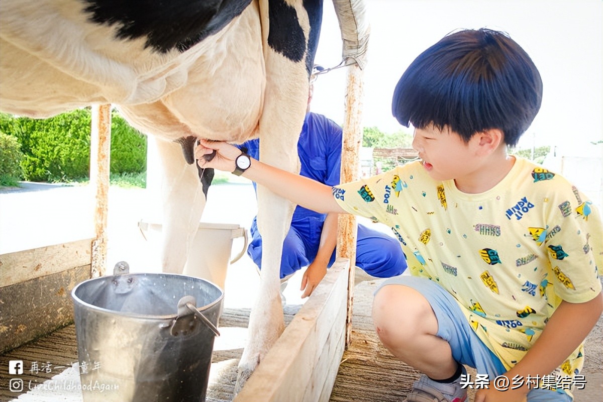 日本亲子农场主题乐园,日本妈妈牧场成功的原因