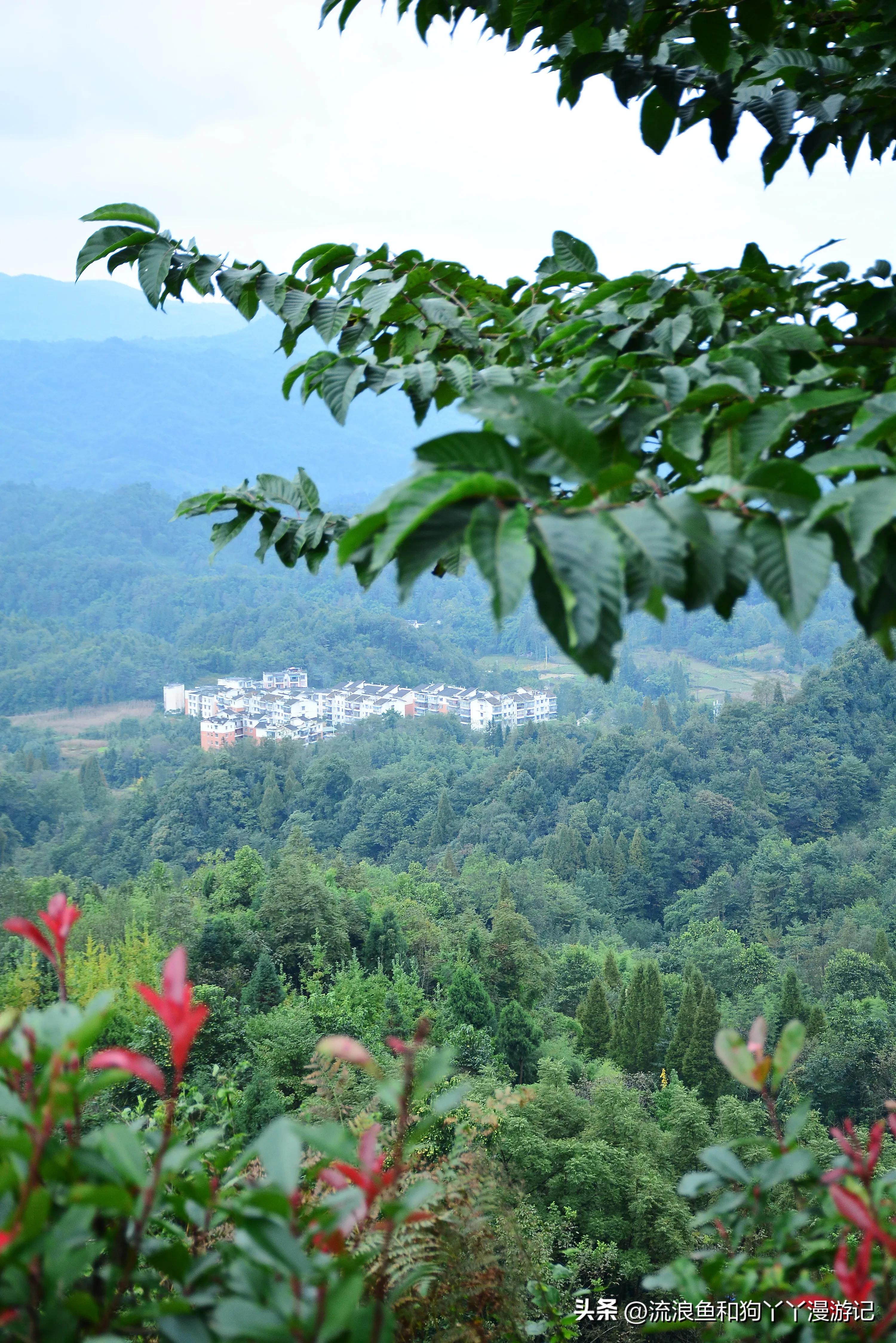四月份成都近郊一日游好去处,2022成都近郊看雪一日游最佳去处
