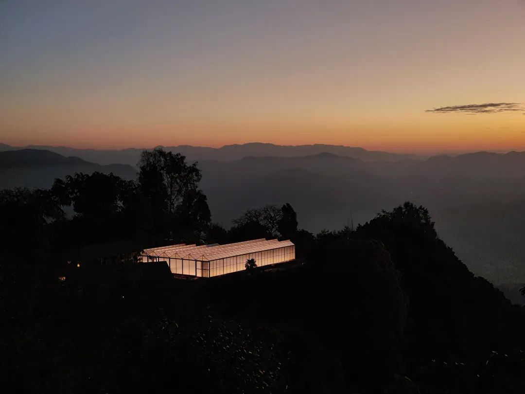 保山精品小粒咖啡,保山小粒咖啡豆哪里买