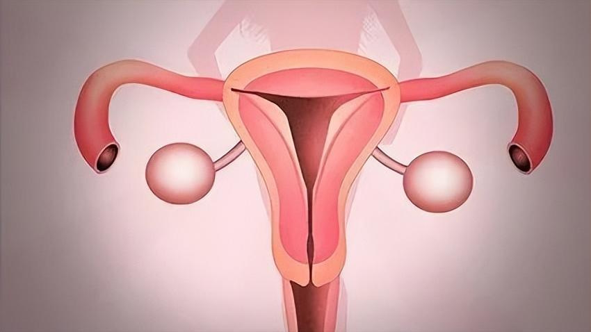 阴道炎常见的症状和危害有哪些,阴道炎有什么不良症状