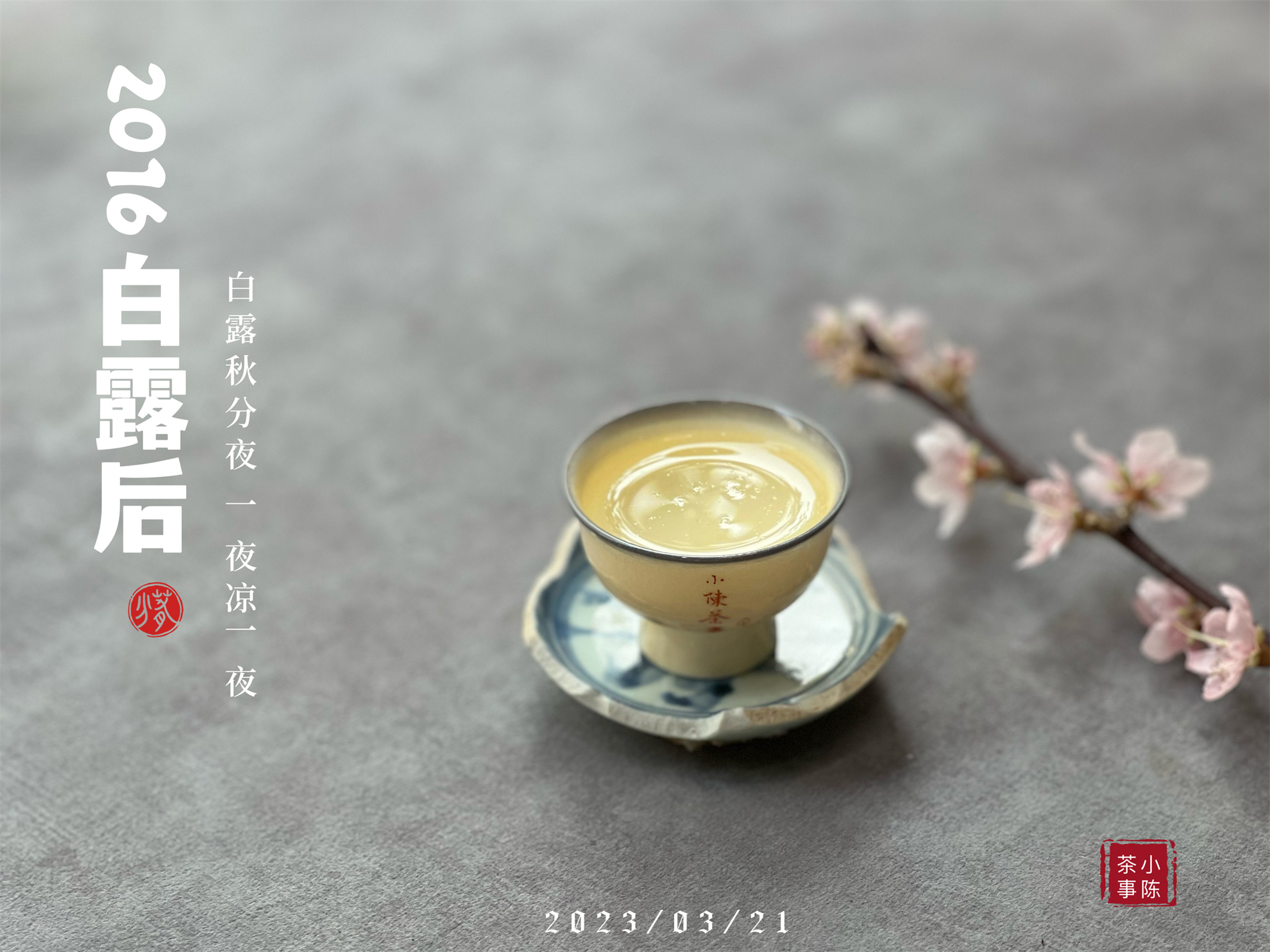 白毫银针茶哪种白茶最好,白茶的寿眉贡眉银针