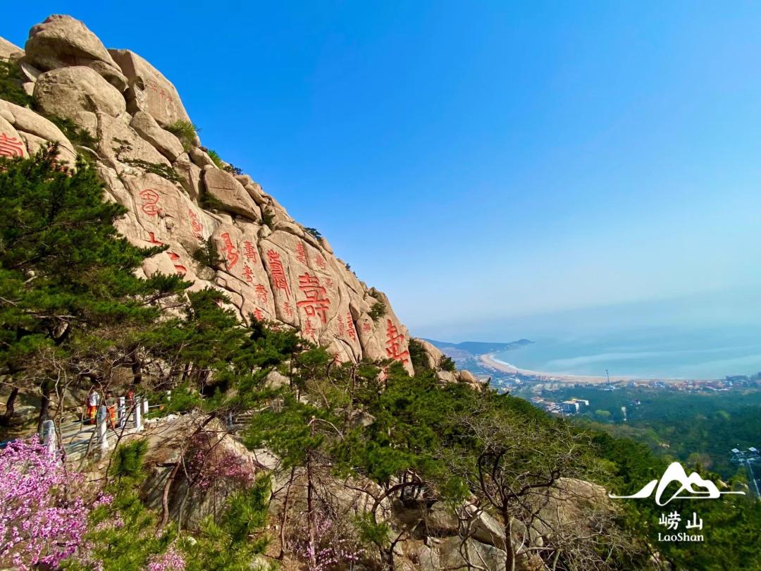跟团去山东旅游,跟团去欧洲旅游游记