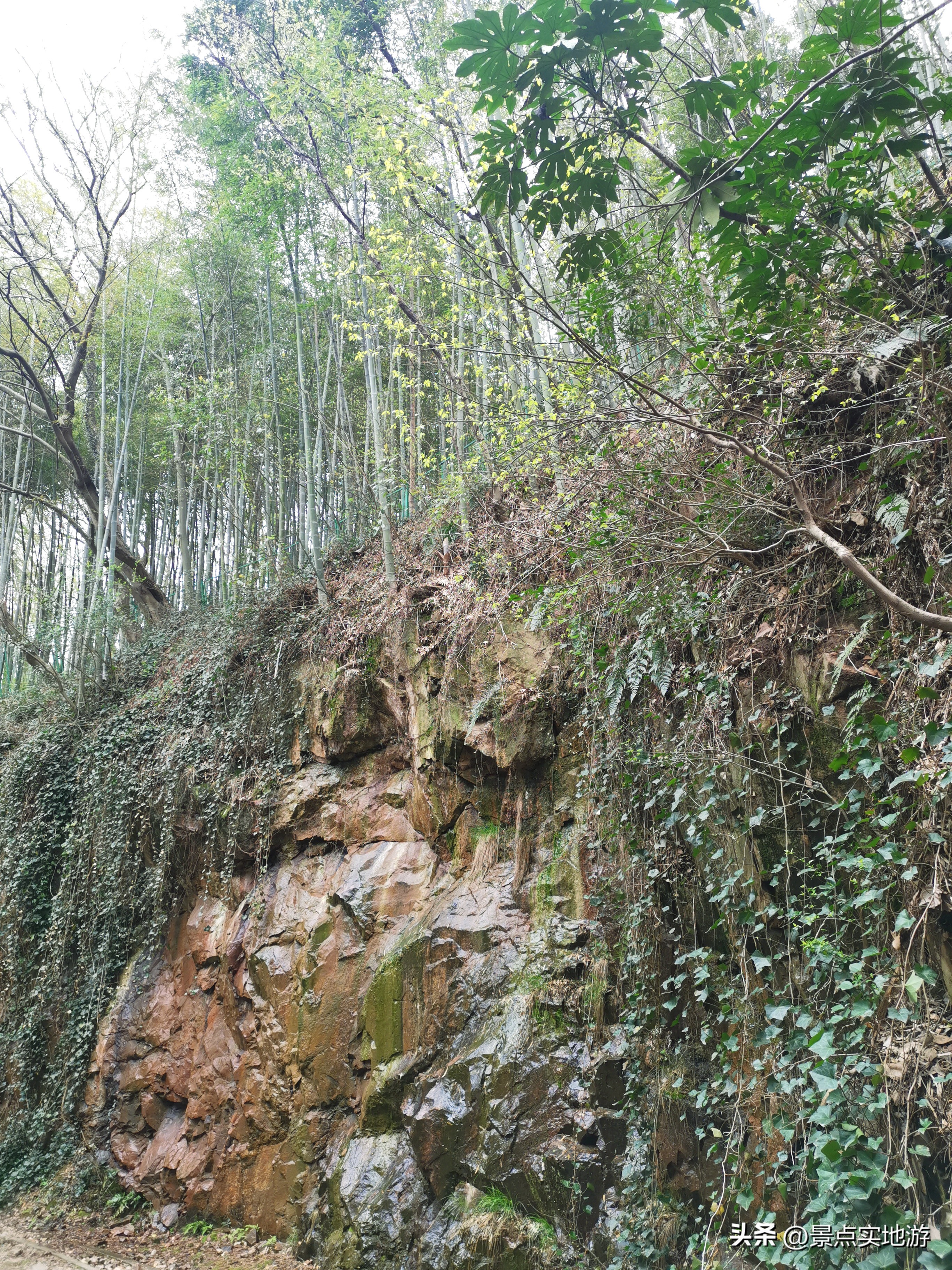 上海佘山国家森林公园一日游攻略,上海佘山国家森林公园攻略