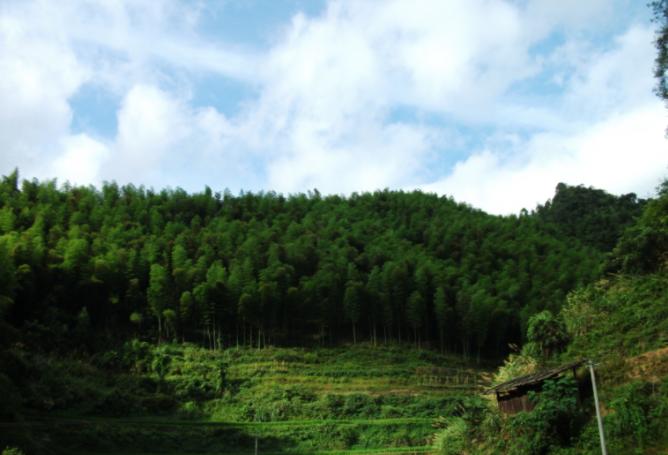 人到中年戒掉无效社交,戒掉购买欲