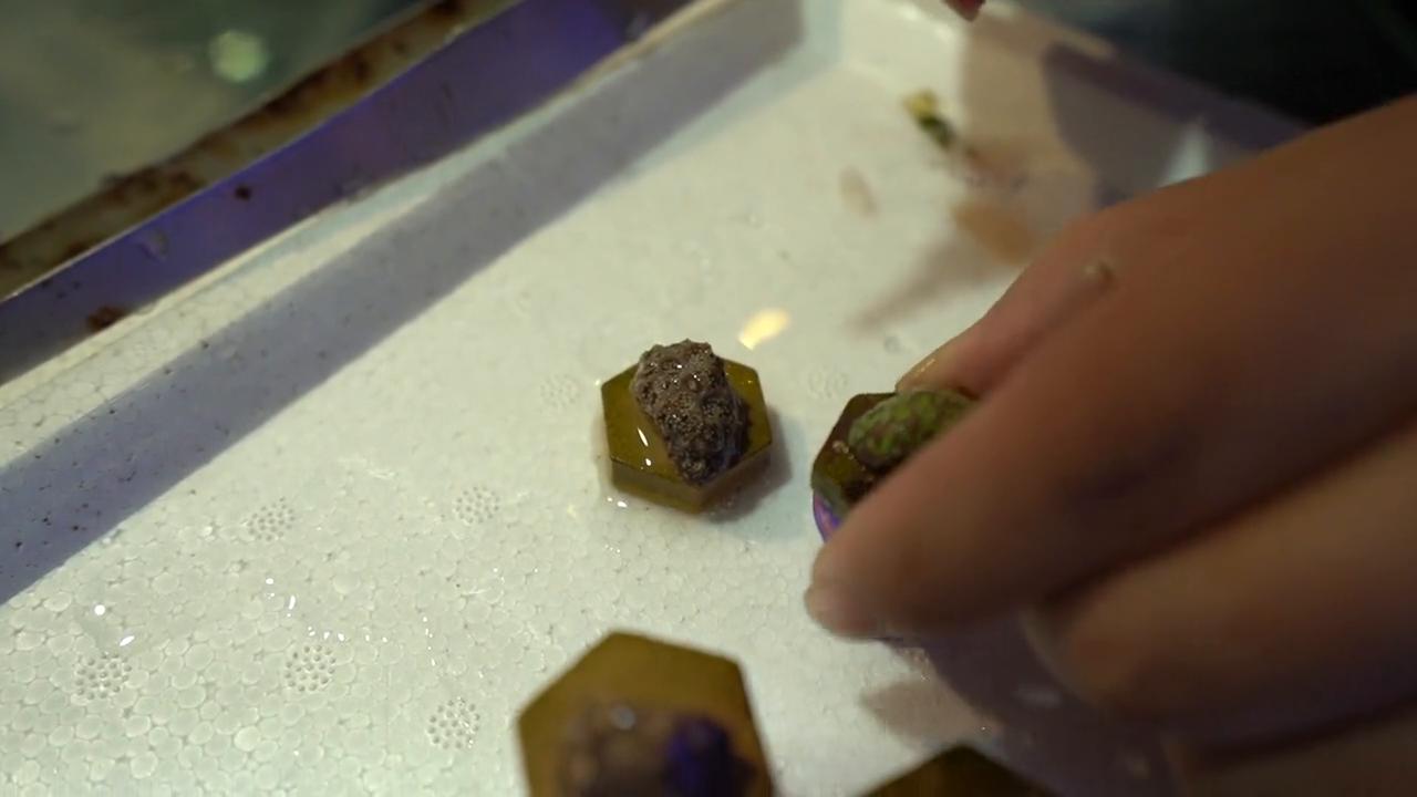 海缸50缸珊瑚造景,海缸30度珊瑚脱藻吗