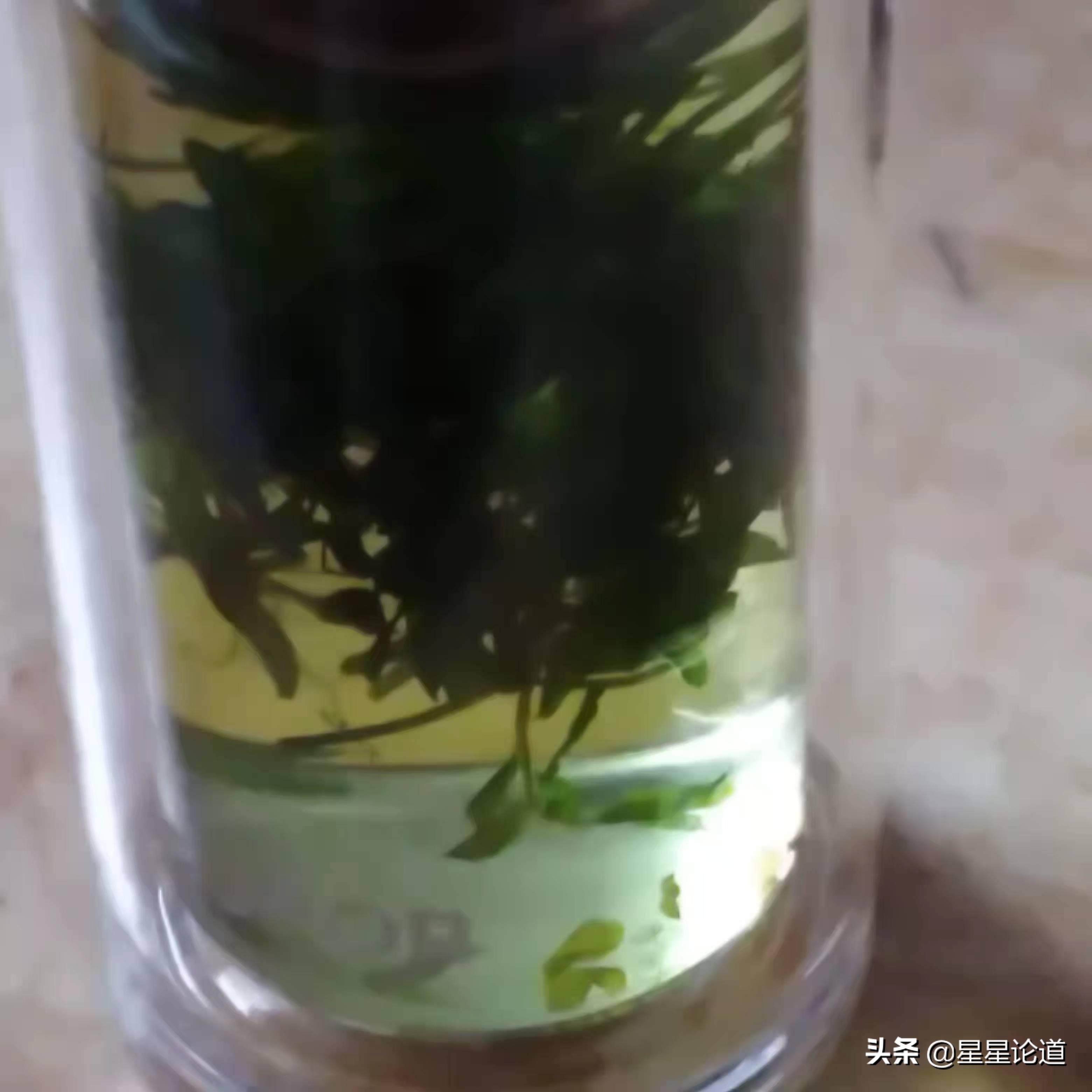 春尝野味菜当先*星星论道