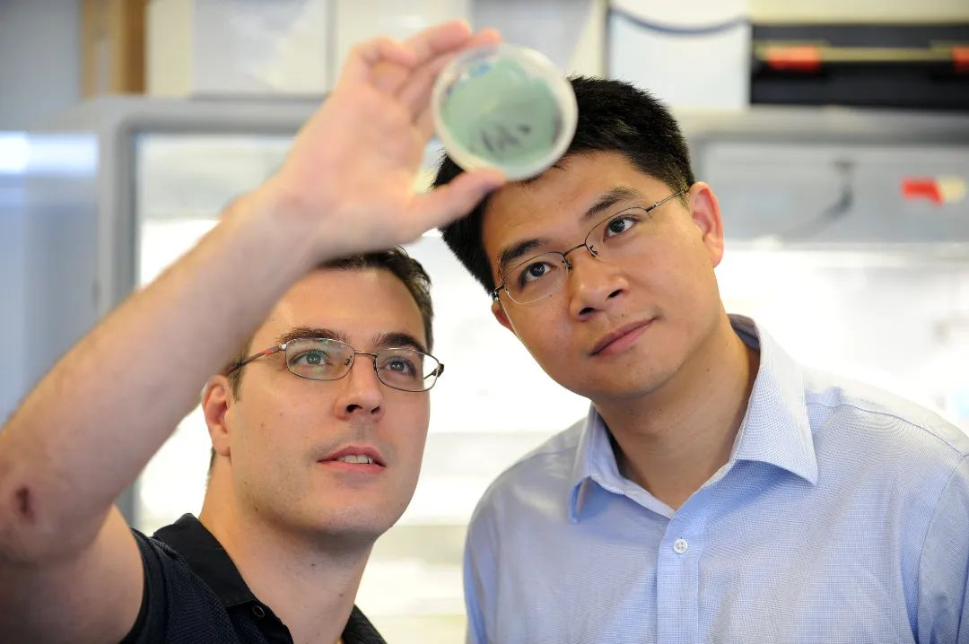 王宝俊教授浙江大学,王宝俊浙江大学