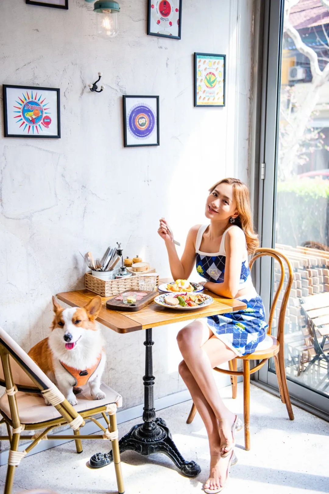 魔都宠物天地,魔都周边宠物友好景区