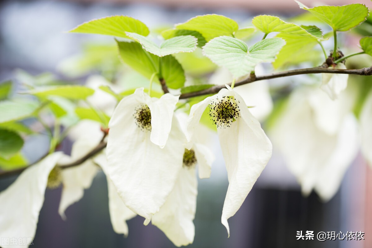 这些星座把自己活成财神爷，内心强大能力出众，心如真金光耀众生