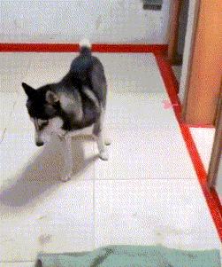 女代驾花了1800多,叫了个女代驾花了1800元