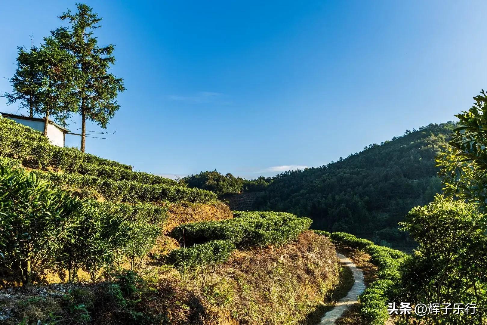 广东潮州凤凰海棠花谷，风光旖旎，3条绝美徒步线路值得一走