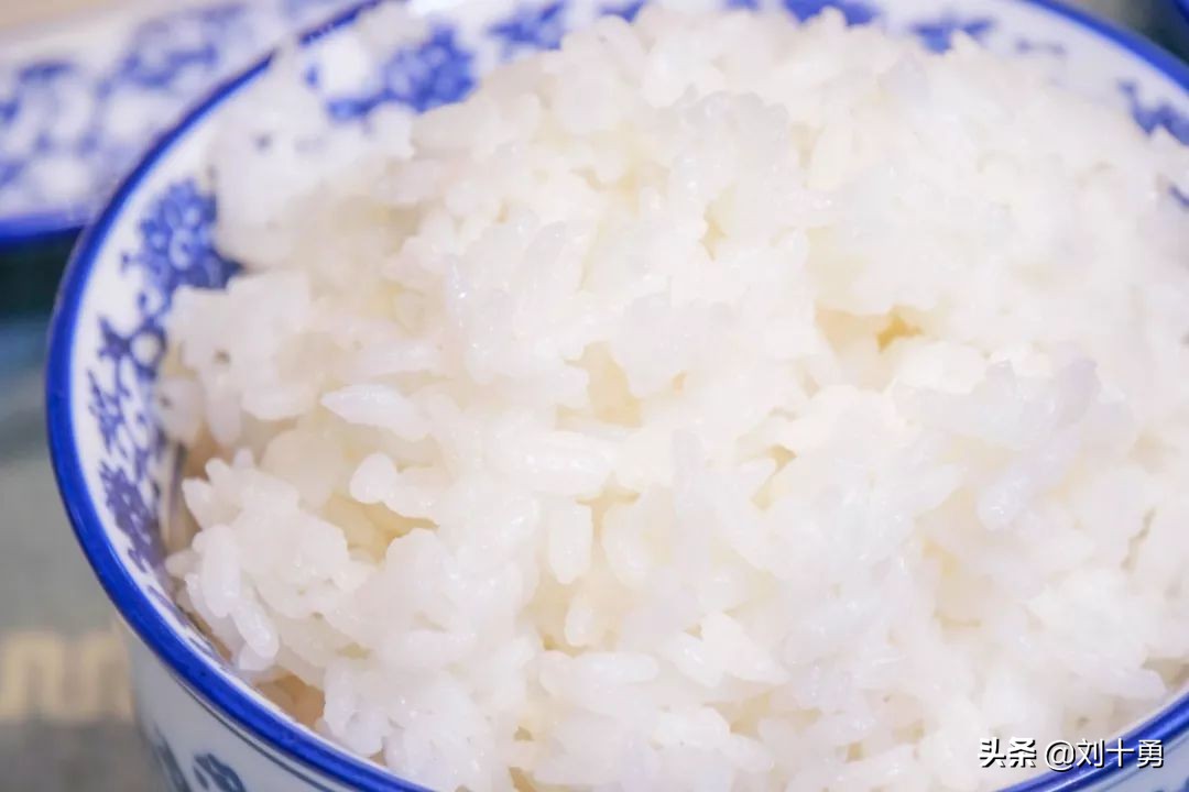 人间美味的动物有哪些,大雁做法和营养价值