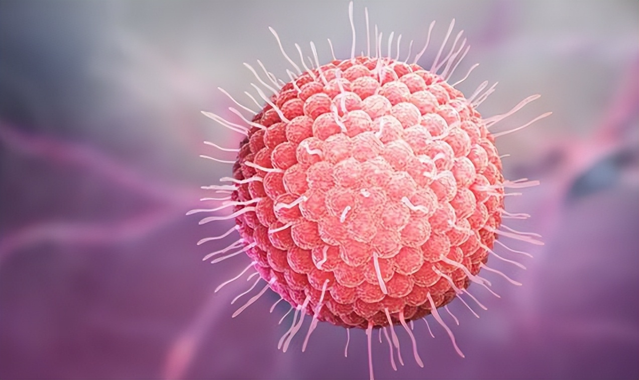 怎么在*生活性**前，判断对象有没有性病？