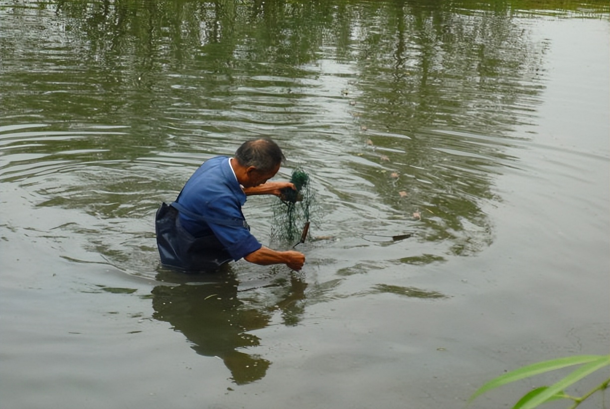 新疆姑娘回家被狼群包围,新疆姑娘遇到狼群