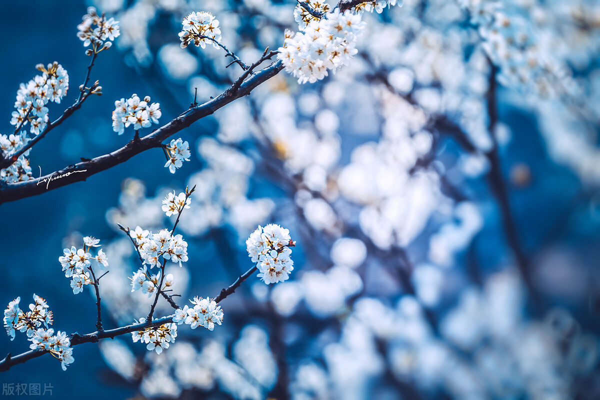 人生为什么会觉得无趣,当你觉得人生无趣