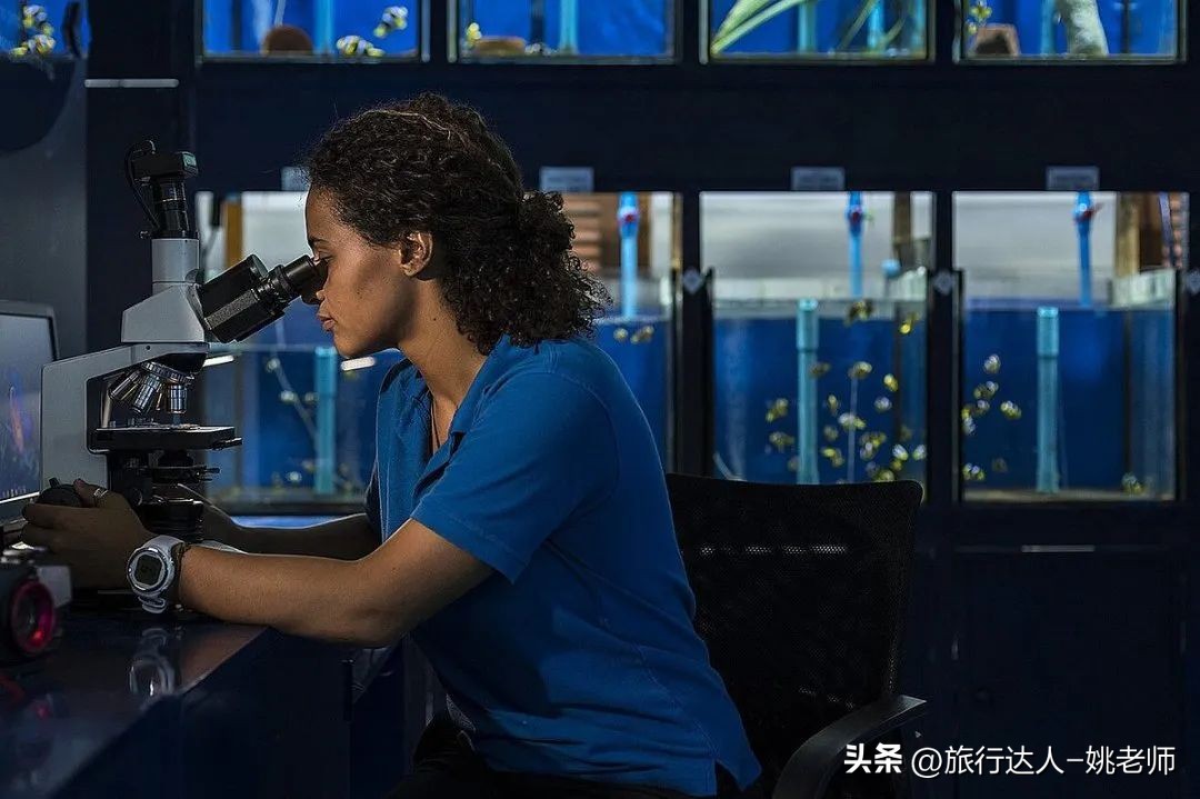 国内有直飞马尔代夫的航班吗 (北京上海直飞马尔代夫复航)