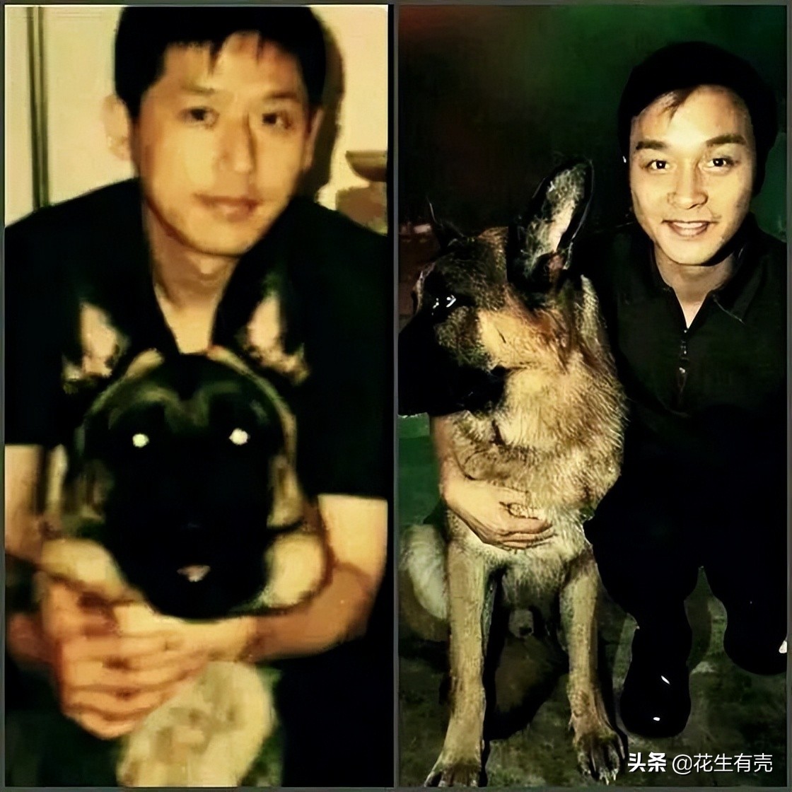 39年后再看唐鹤德：才发现张国荣遇到他，是一生的幸运