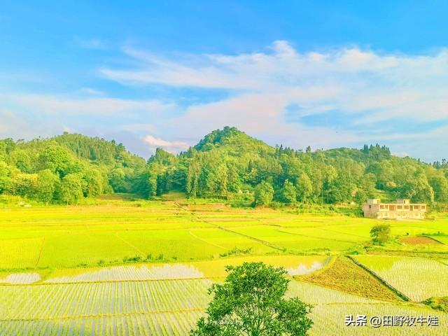 一个县委书记的临别感言,一个县委书记的日常生活