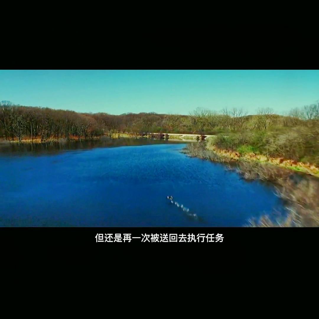 源码小助手,源代码小程序多少钱