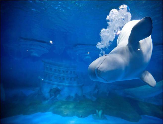 大连旅游攻略2天一晚,大连五天四晚旅游攻略