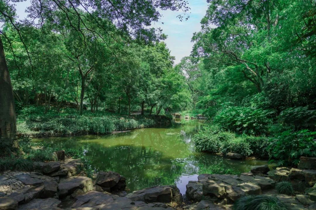 520年一遇，2022上海最浪漫打卡地出炉