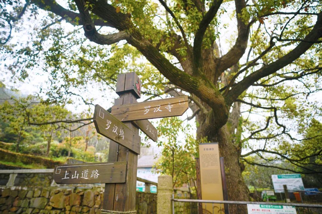 太湖西山岛冬季旅游攻略,苏州太湖西山岛有什么玩的