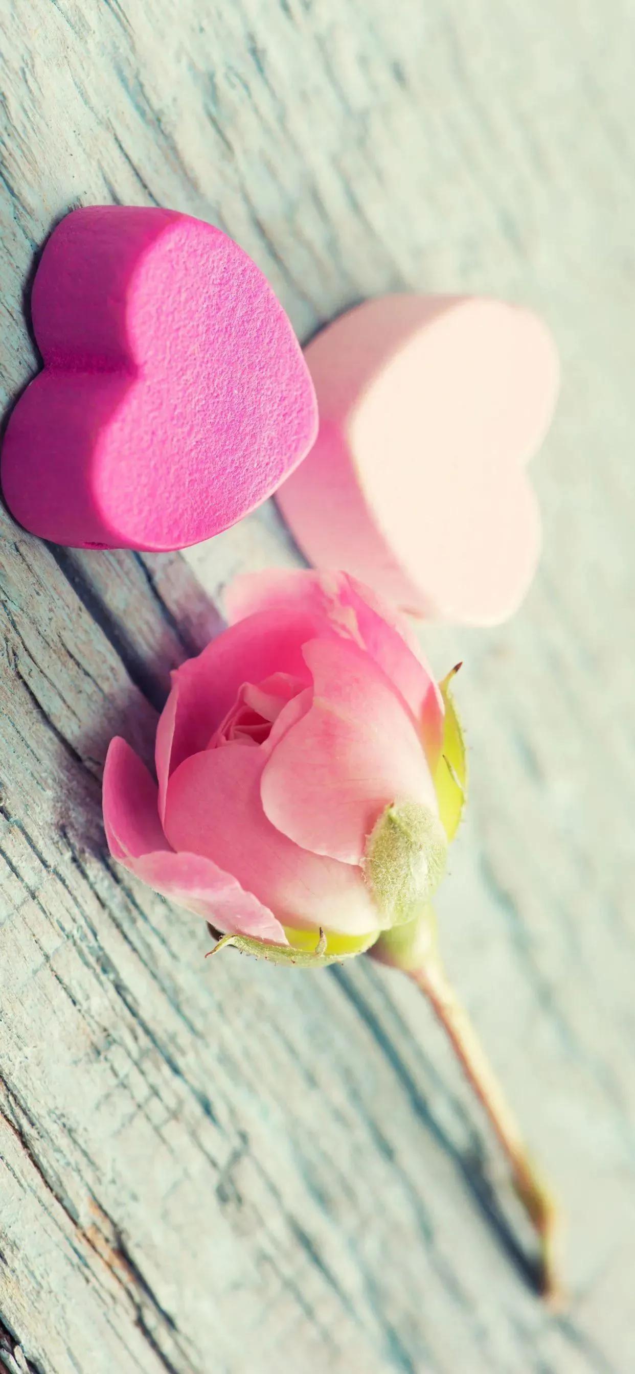 好看的的壁纸高清,好看的壁纸正方形图片