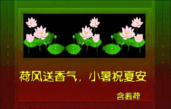 小暑节气祝福语简短,小暑节气祝福语图片简短