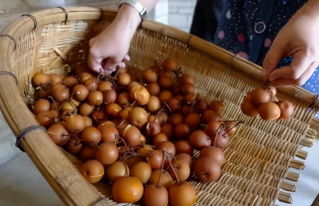 狗屎梨泡酒的正确方法,狗屎梨