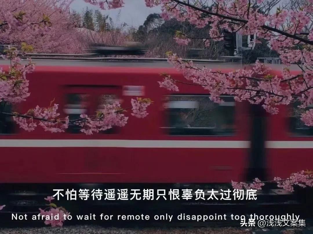 双向奔赴的爱：这一生山长水阔要跟喜欢的你过有趣的日子