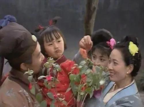 红楼梦人物关系超详细解读,红楼梦中人物的年龄及生日