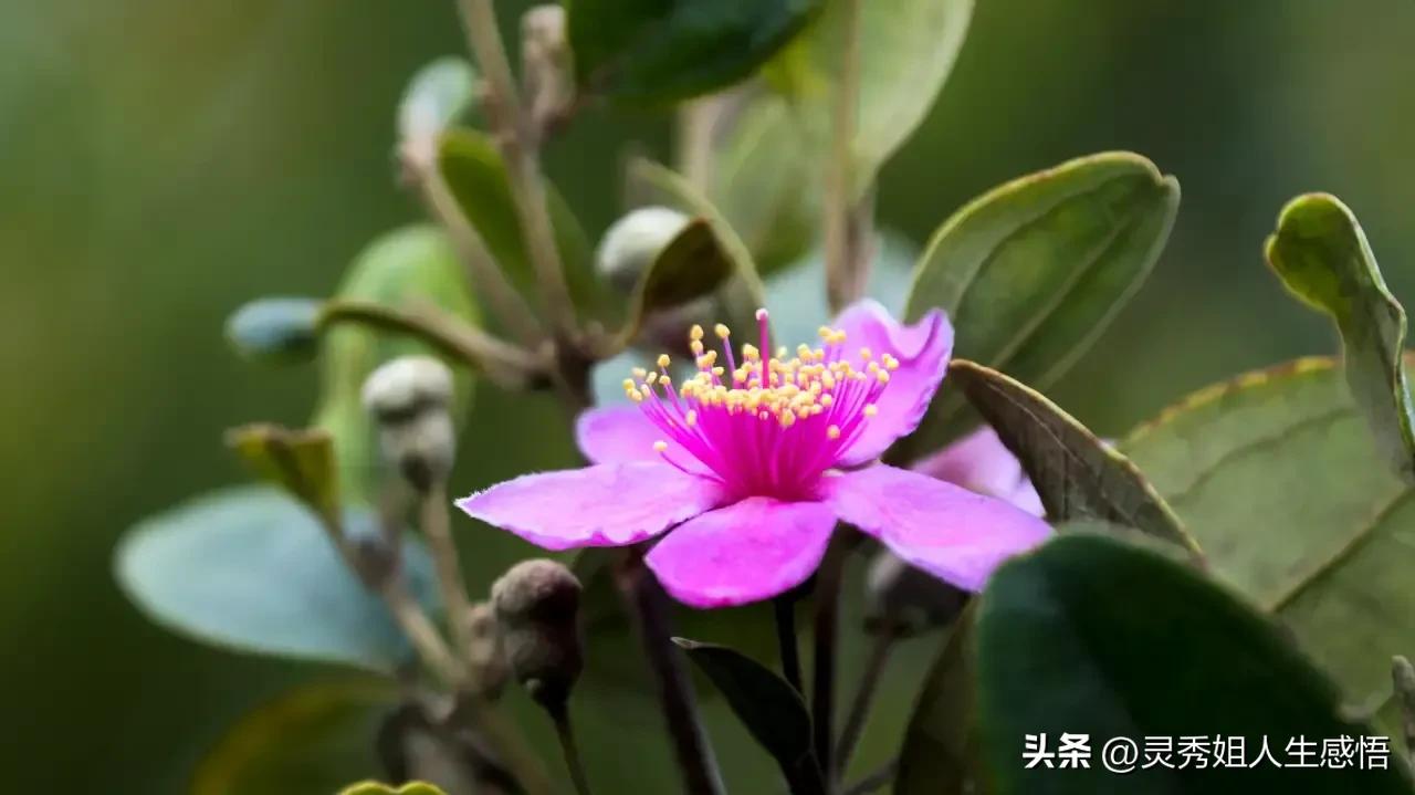 学唱粤语老歌,学粤语的方法广东话