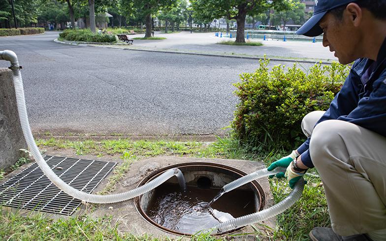 日本城市为什么那么干净,日本东京公园现状