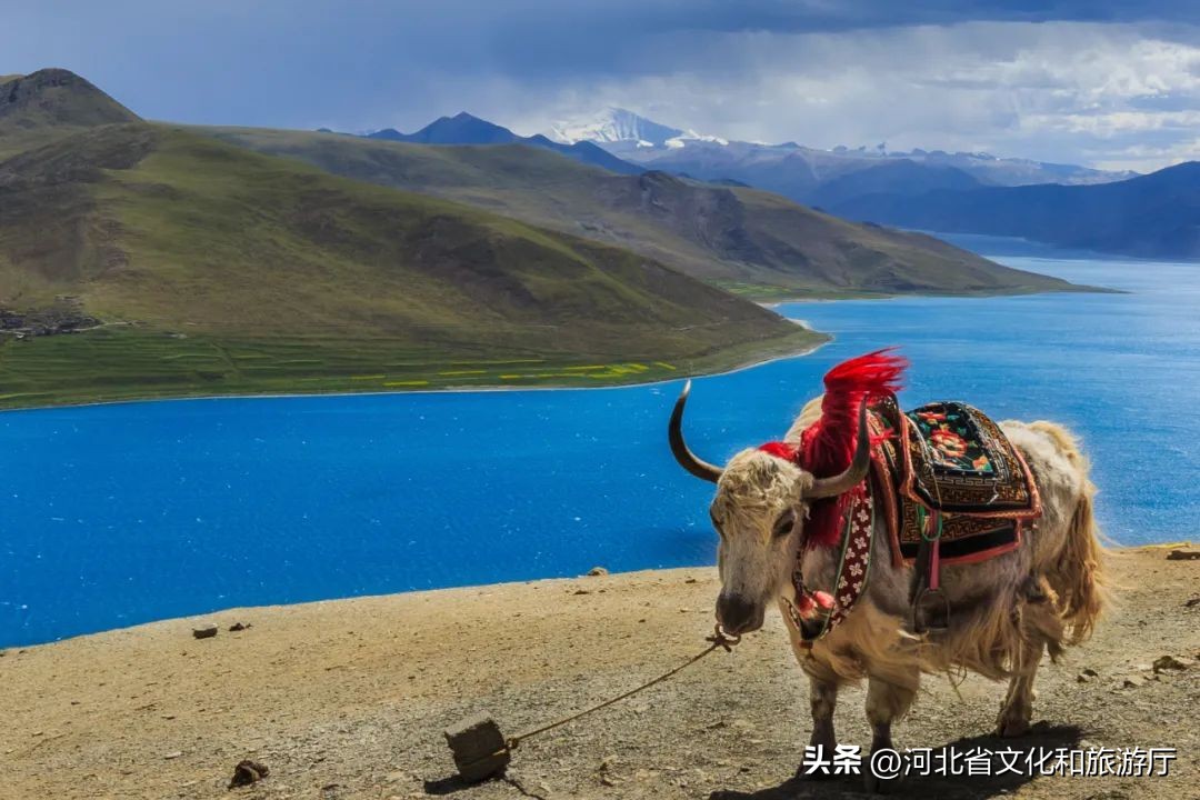 中国夏季避暑胜地排名前十,中国十大避暑胜地第一名你想不到
