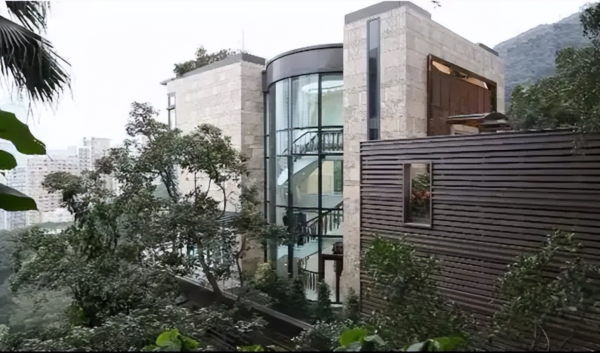 袁咏仪最贵的爱马仕包,最美港姐素颜逛街身价10亿