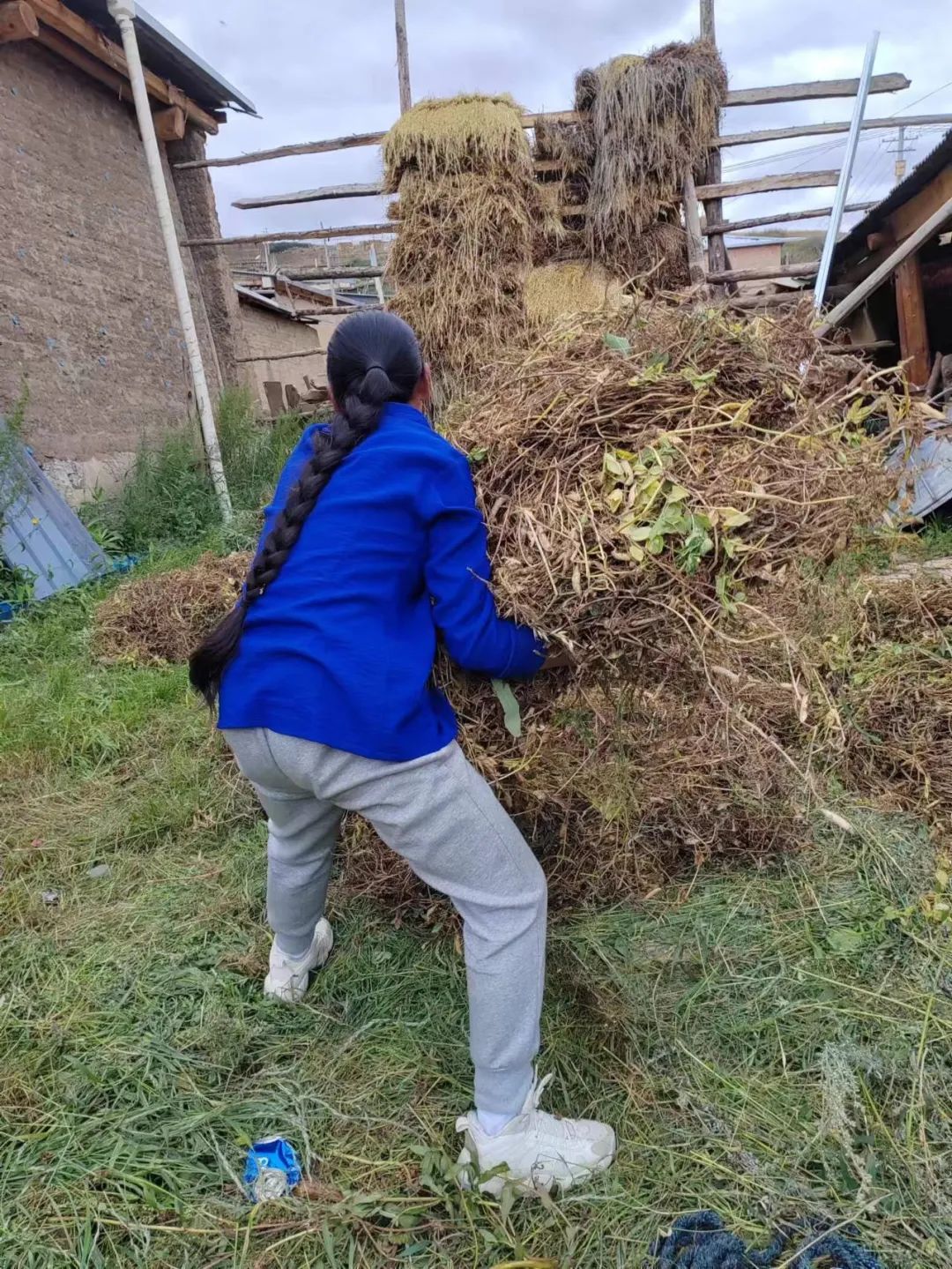 留守女孩收到录取通知书,藏族孩子收到入学通知书