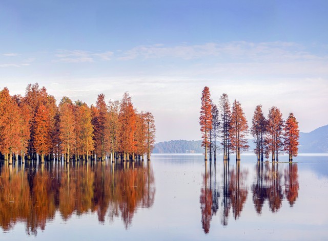 如果你感到生活无聊孤独请来头条吧！如果你觉得没流量这样就行了
