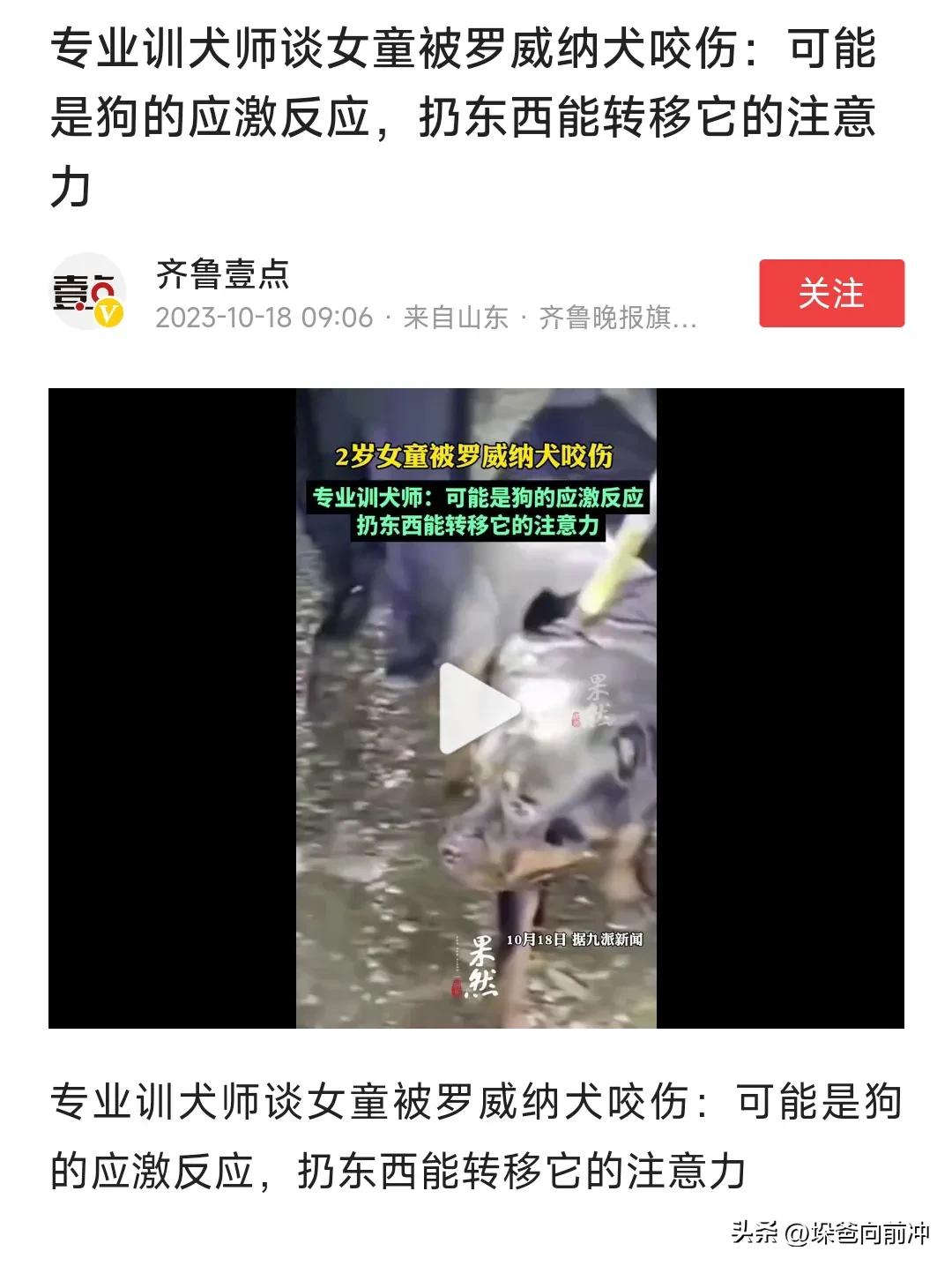 训犬师称罗威纳咬人或为应激反应,训犬师咬孩子