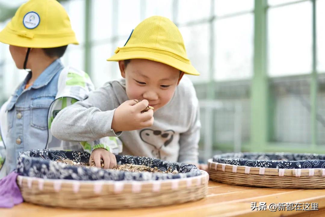 点赞！省级示范名单公布，新都5所学校上榜！