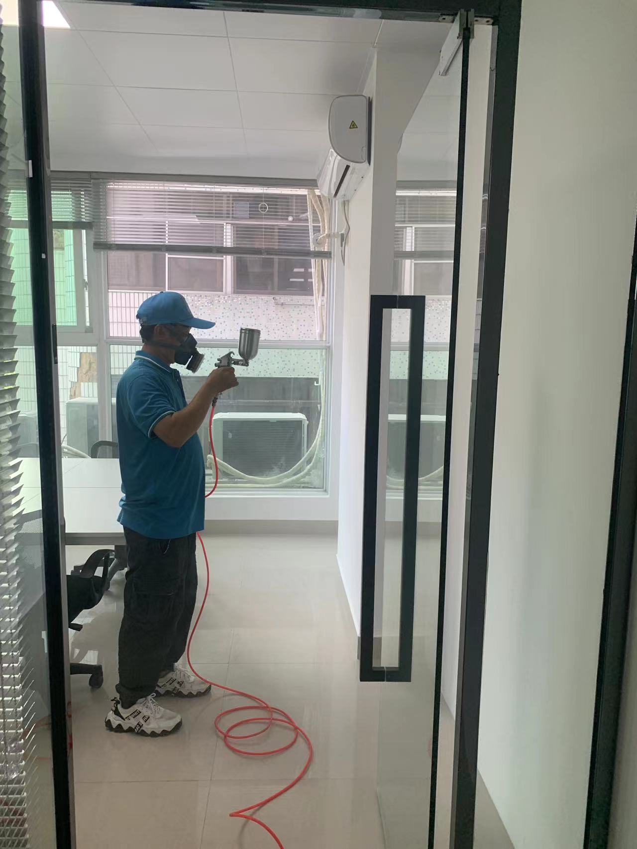 室内除甲醛最好的植物有哪些,有效除甲醛的植物有哪些