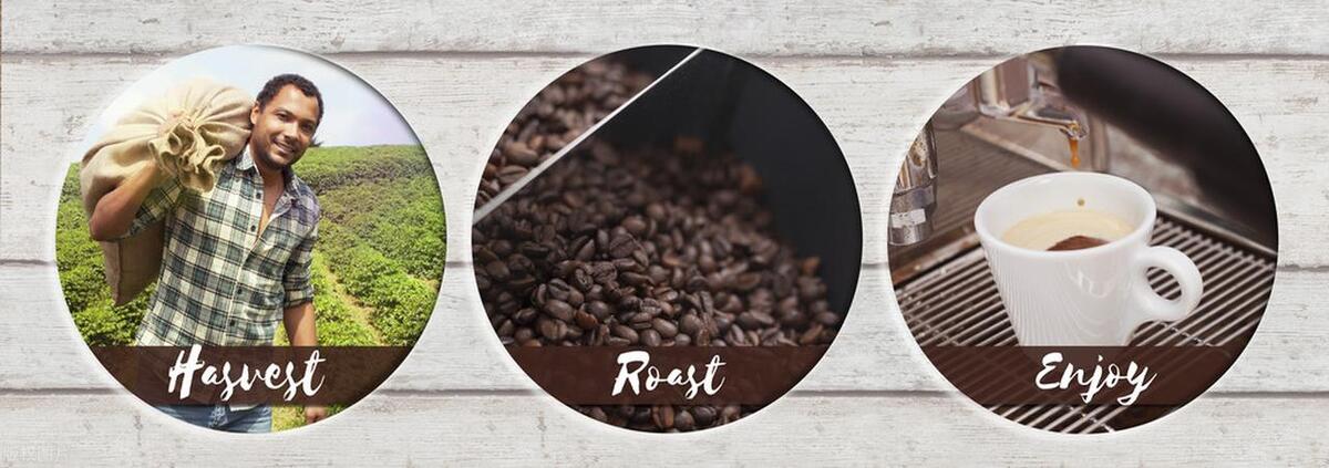 新手入门买什么咖啡豆,咖啡爱好者咖啡豆选购