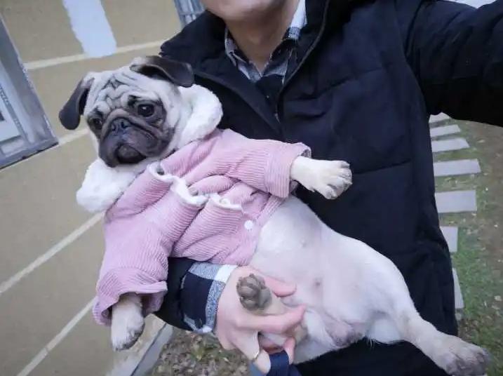 我家狗狗以为它是我亲生的,你家狗会不会认为是你亲生的