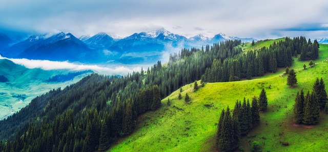 新疆男篮新赛季再迎强援赵睿,新疆新赛区男篮赛程